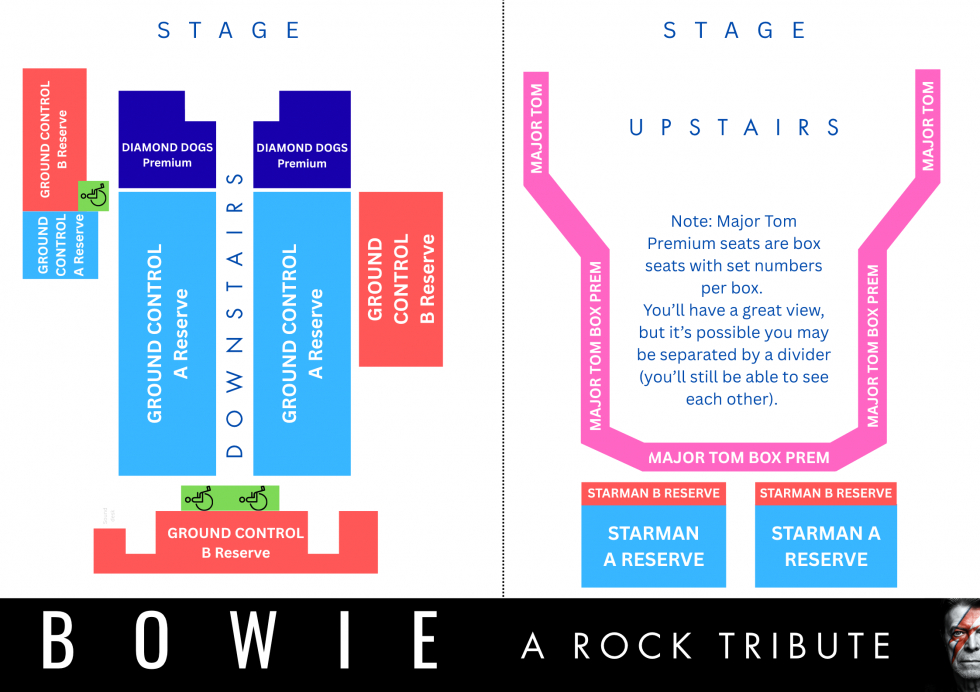 BOWIE: A Rock Tribute